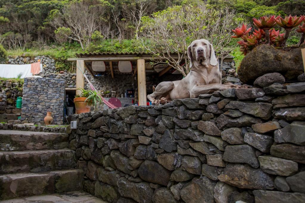 Caldeira Guesthouse Faja da Caldeira de Santo Cristo Εξωτερικό φωτογραφία